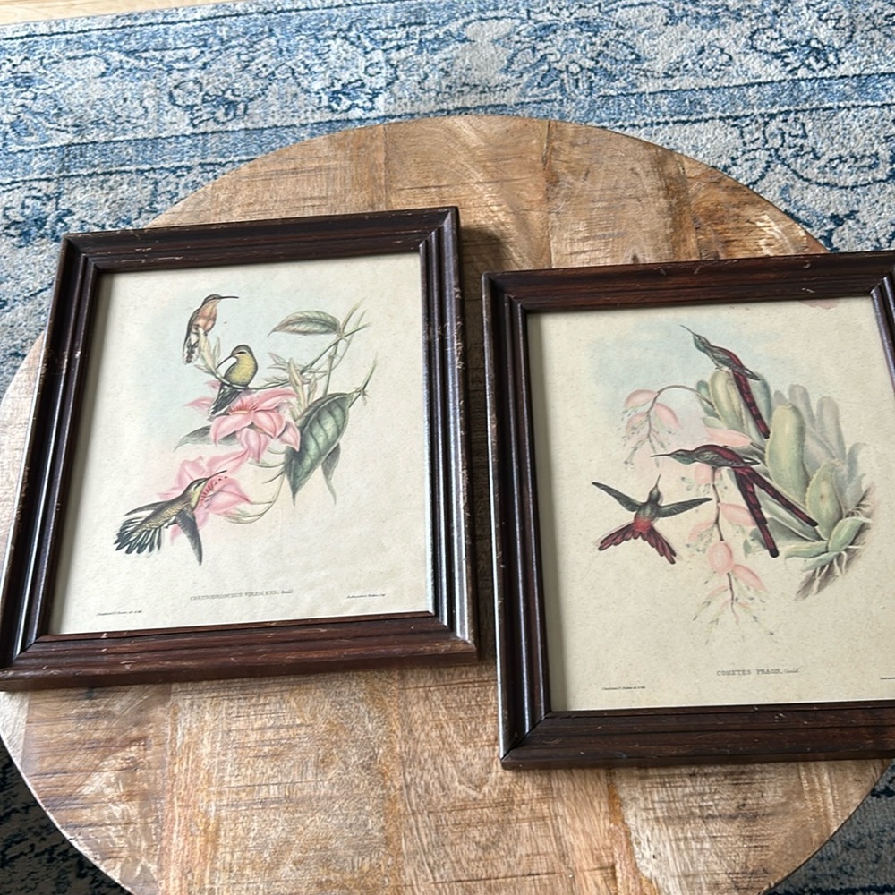 J. Gould and H. C. Richter Framed Lithograph